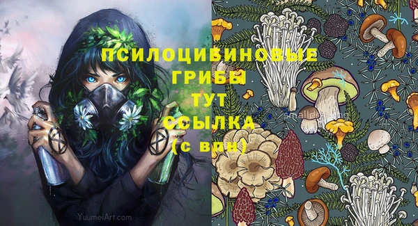не бодяженный Володарск