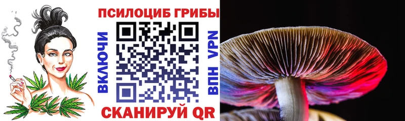Галлюциногенные грибы мухоморы  дарнет шоп  Салават 